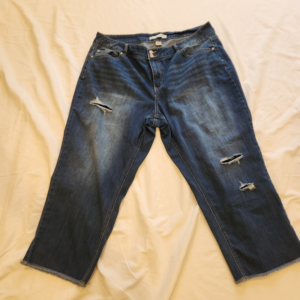 Cato Distressed High Rise Jeans - Size 20, Frayed Hem - Trendy & Comfortable